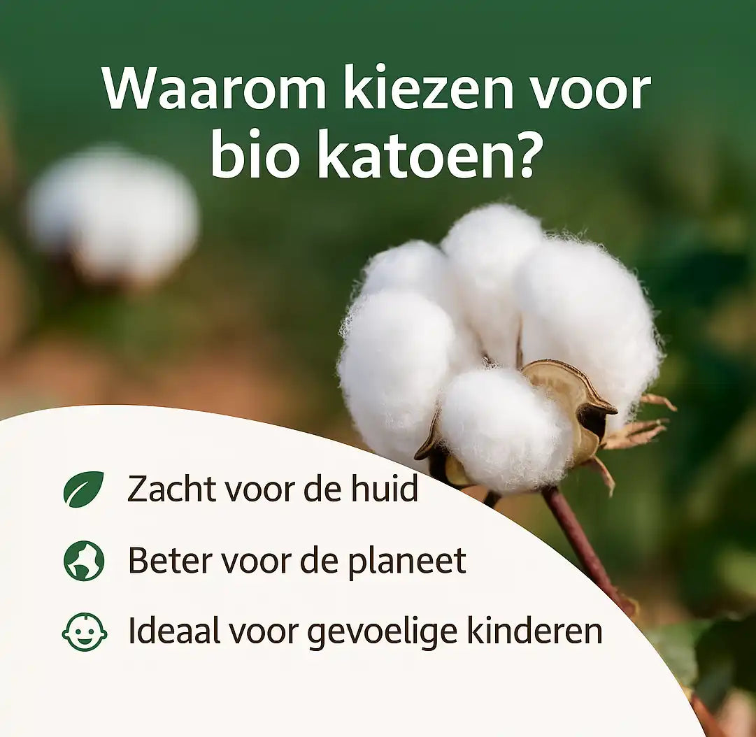 Zachte biologische katoenplant als basis voor duurzame en huidvriendelijke kindersokken
